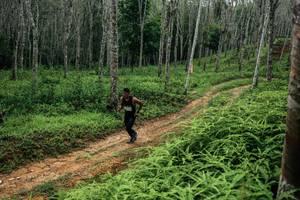 BIB: 
                            <button type="button" onclick="openModal(26339294)" class="btn btn-primary btn-sm float-right btn-popup" data-toggle="modal" data-target=".modal-high-quality">
                        <i class="fas fa-shopping-cart"></i> Add to Cart
                    </button>
                                            <button type="button" onclick="isThisMe(26339294, true)" class="btn btn-success btn-sm float-right btn-popup btn-isme hidden" data-toggle="tooltip" data-placement="bottom" title="นี่คือรูปของคุณใช่ไหม คลิกที่นี่เพื่อเอาเข้าอัลบั้ม">
                        <i class="fas fa-plus"></i> Add to album
                    </button>
                    <button type="button" onclick="isThisMe(26339294, false)" class="btn btn-warning btn-sm float-right btn-popup btn-isnotme hidden">
                        <i class="fas fa-ban"></i> Remove from album
                    </button>